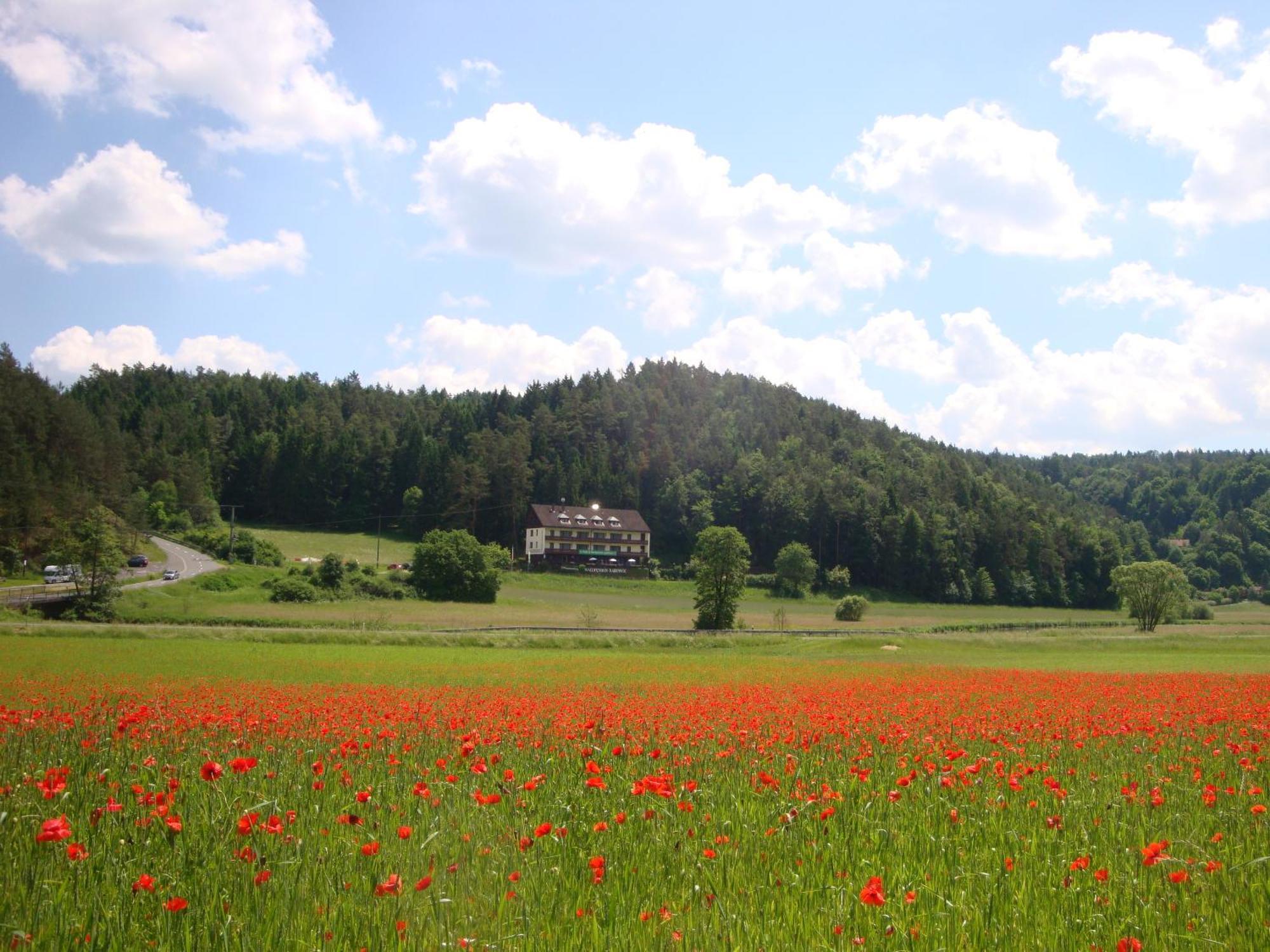 Waldpension Rabeneck Waischenfeld Luaran gambar